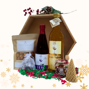 Ancheta Navidad Especial