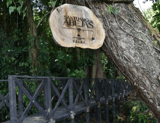 velez hotles de abejas