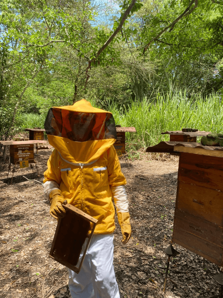 día del apicultor apiario la esperanza